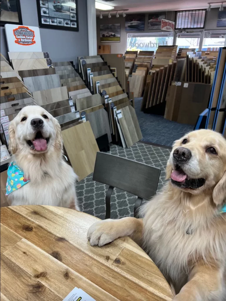 Laminate flooring | California Cushion & Carpet