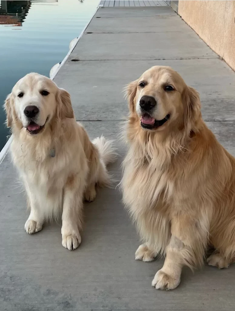 Tuftex-Finn-Ettinger Tuftex-Finn-Ettinger | California Cushion & Carpet