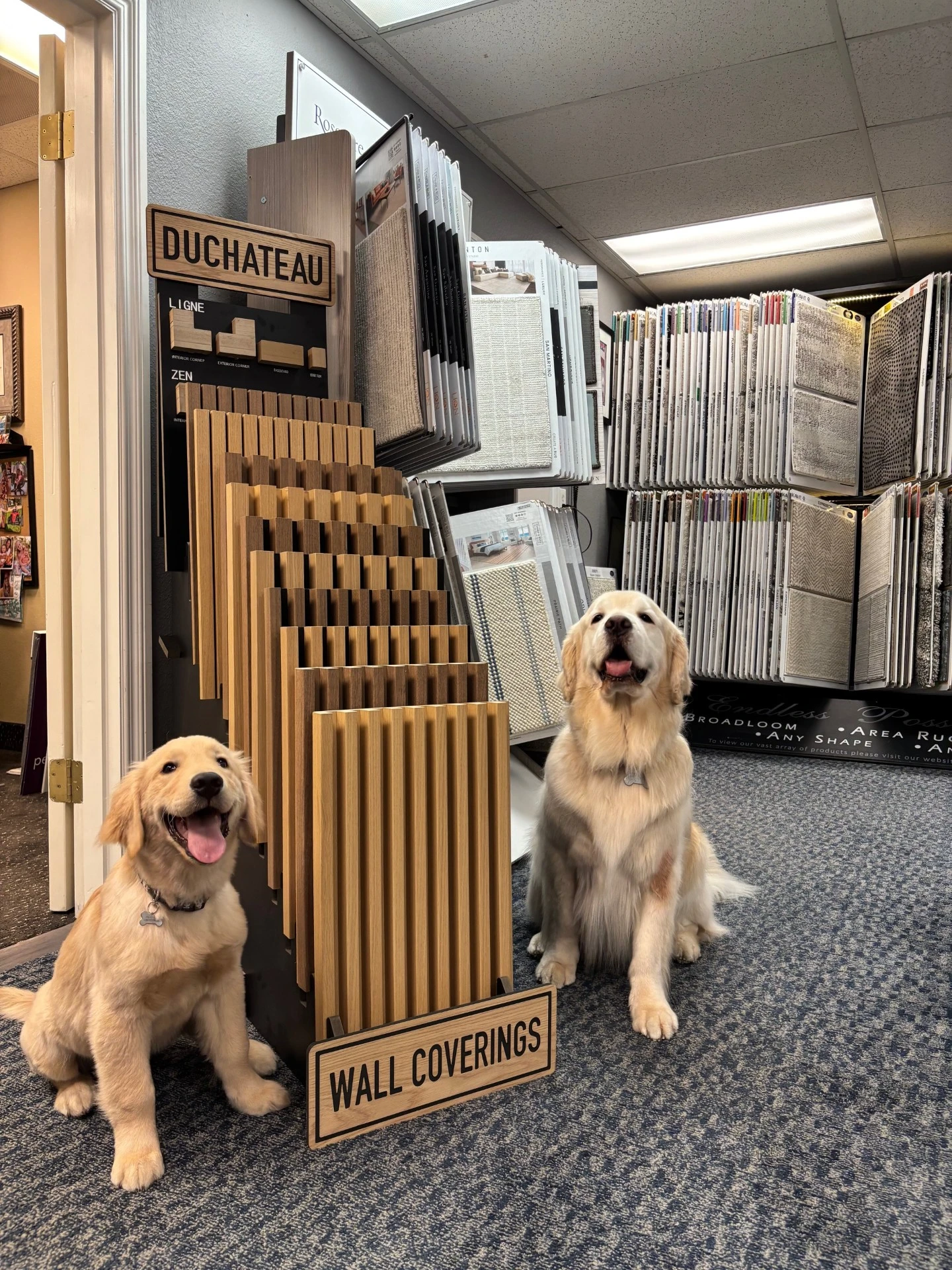 Dakota Dakota | California Cushion & Carpet